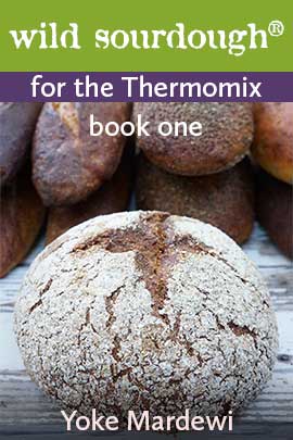 cover-wild-sourdough-for-the-thermomix-web